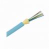 FODRX06Y