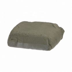 DS1