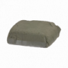 DS1