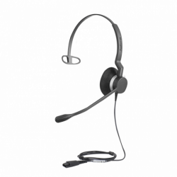BIZ-2300-MONO-QD