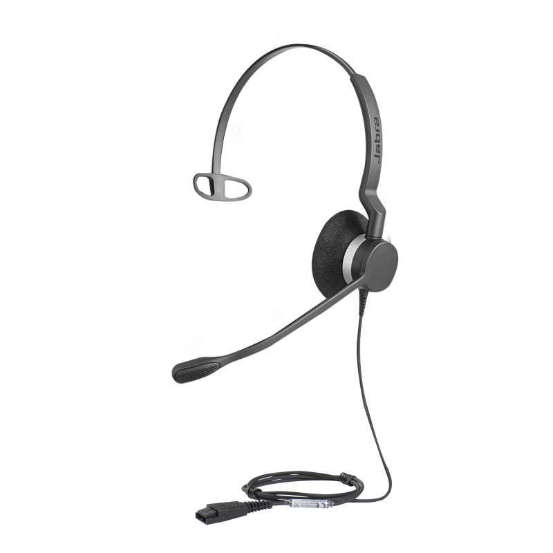BIZ-2300-MONO-QD