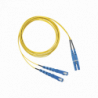 F92ERLNSNSNM003