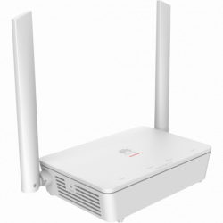 K562E-10