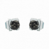 CNWS1224-C