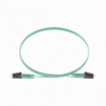 FX2ERLNLNSNM005