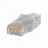 SP6X88-C