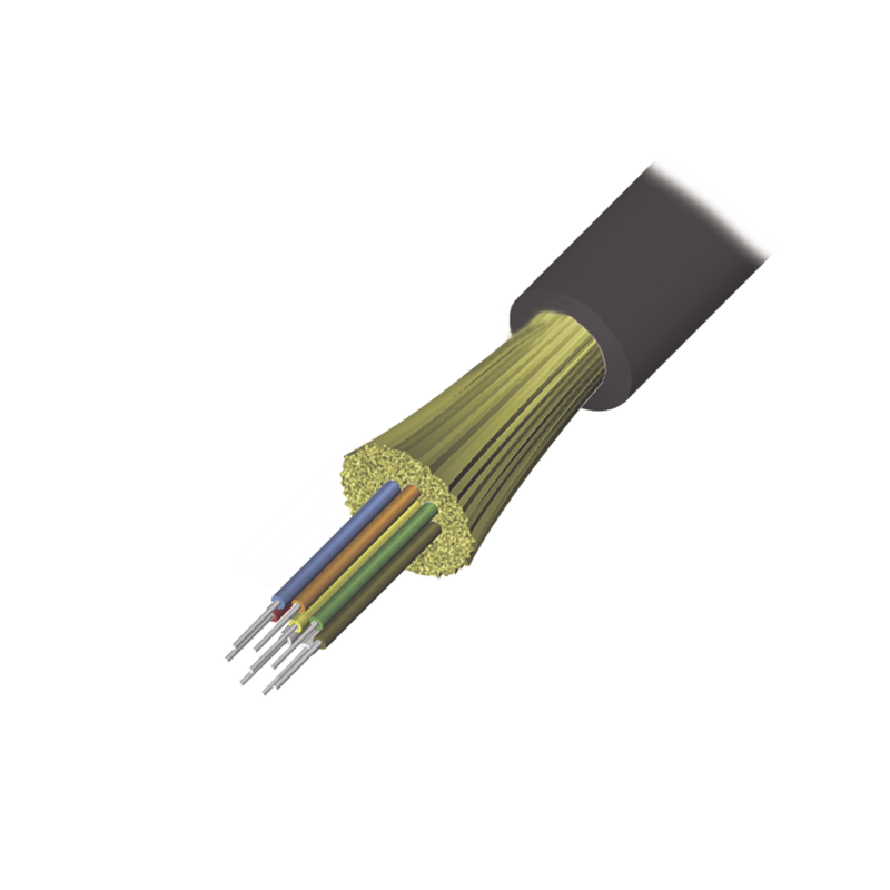 9GD5H006D-T501M