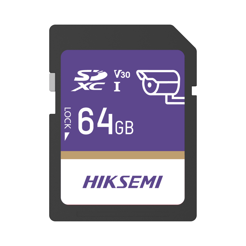 HS-SD-P10/64G/GUARDPRO