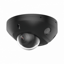 DS-2CD2543G2-LIS2U(BLACK)
