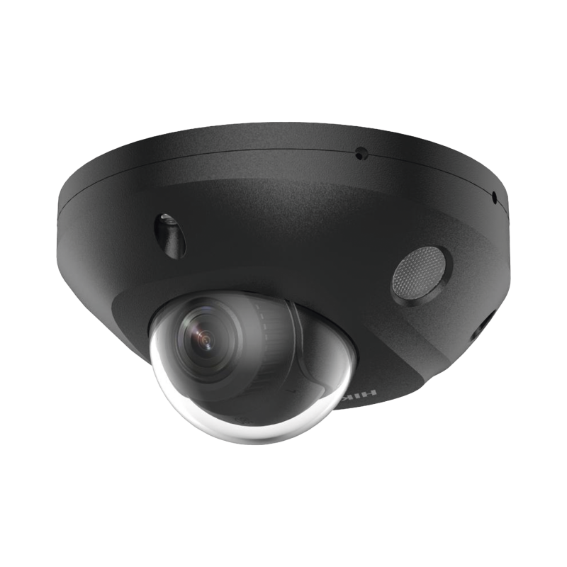 DS-2CD2543G2-LIS2U(BLACK)