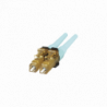 FLCDMCXAQY