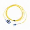 FJ2-LCUSCUL-03