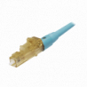 FLCSMCXAQY