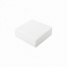 FT-WIPES